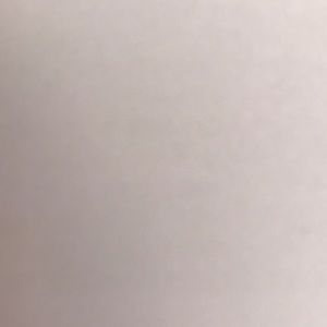 Meet your Posher, Rosie